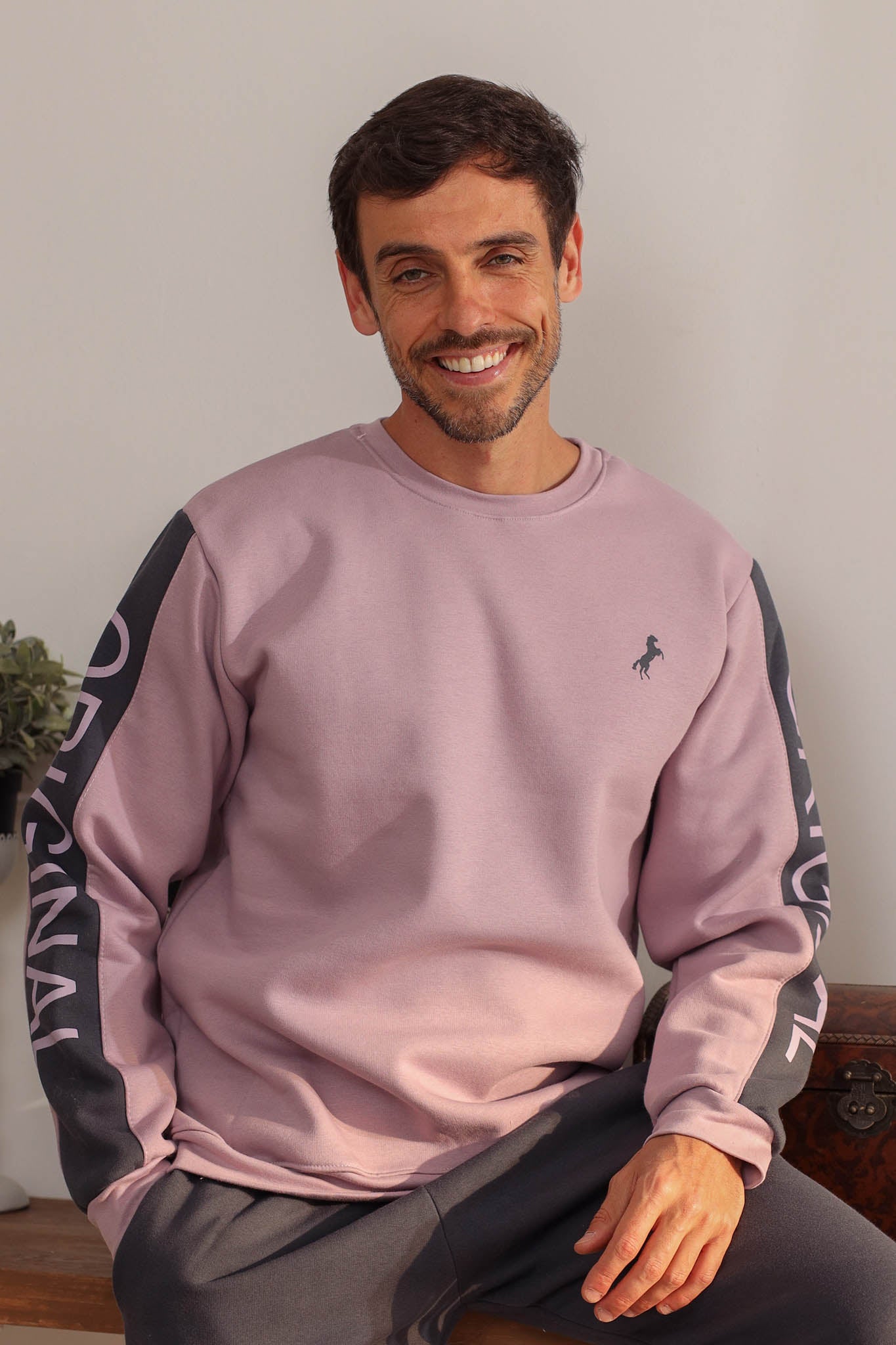 تريننج ميلتون تطريز حصان